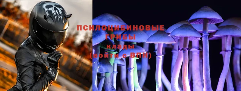 Галлюциногенные грибы Psilocybe  ОМГ ОМГ вход  Инта  купить наркотики сайты 