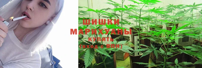 Бошки Шишки SATIVA & INDICA  Инта 